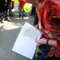 db_IMG_87221