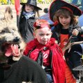db_IMG_87511