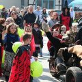 db_IMG_87701