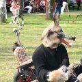 db_IMG_89311