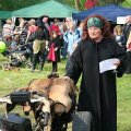 db_IMG_89491