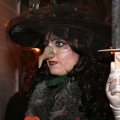 db_IMG_95121