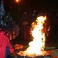 db_IMG_95201