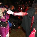 db_IMG_95291