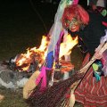 db_IMG_95981