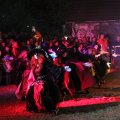 IMG_2487