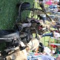 IMG_8846