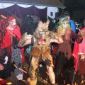 Walpurgis 2014 Nr. 117